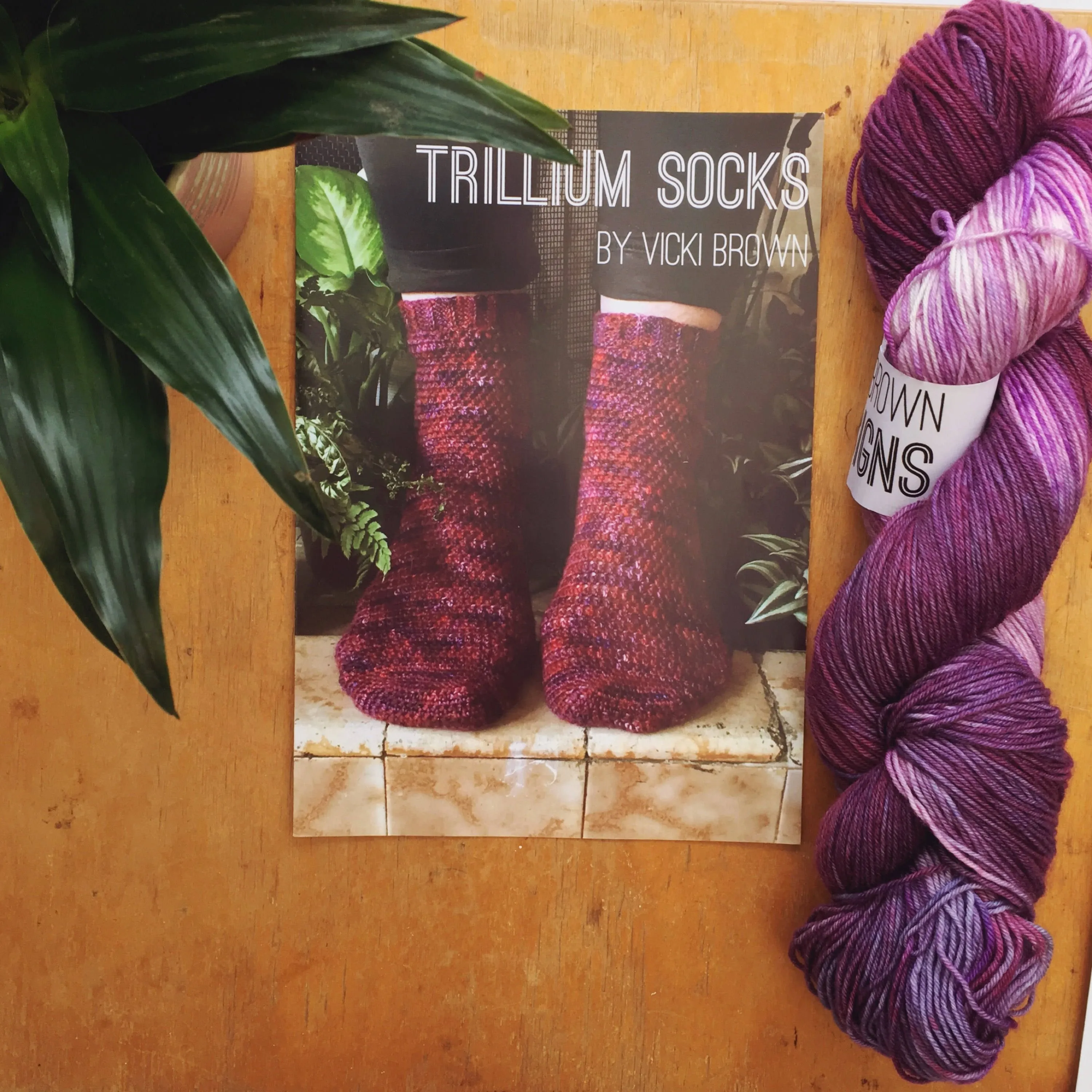 Crochet Pattern - Trillium Socks - PRINT copy